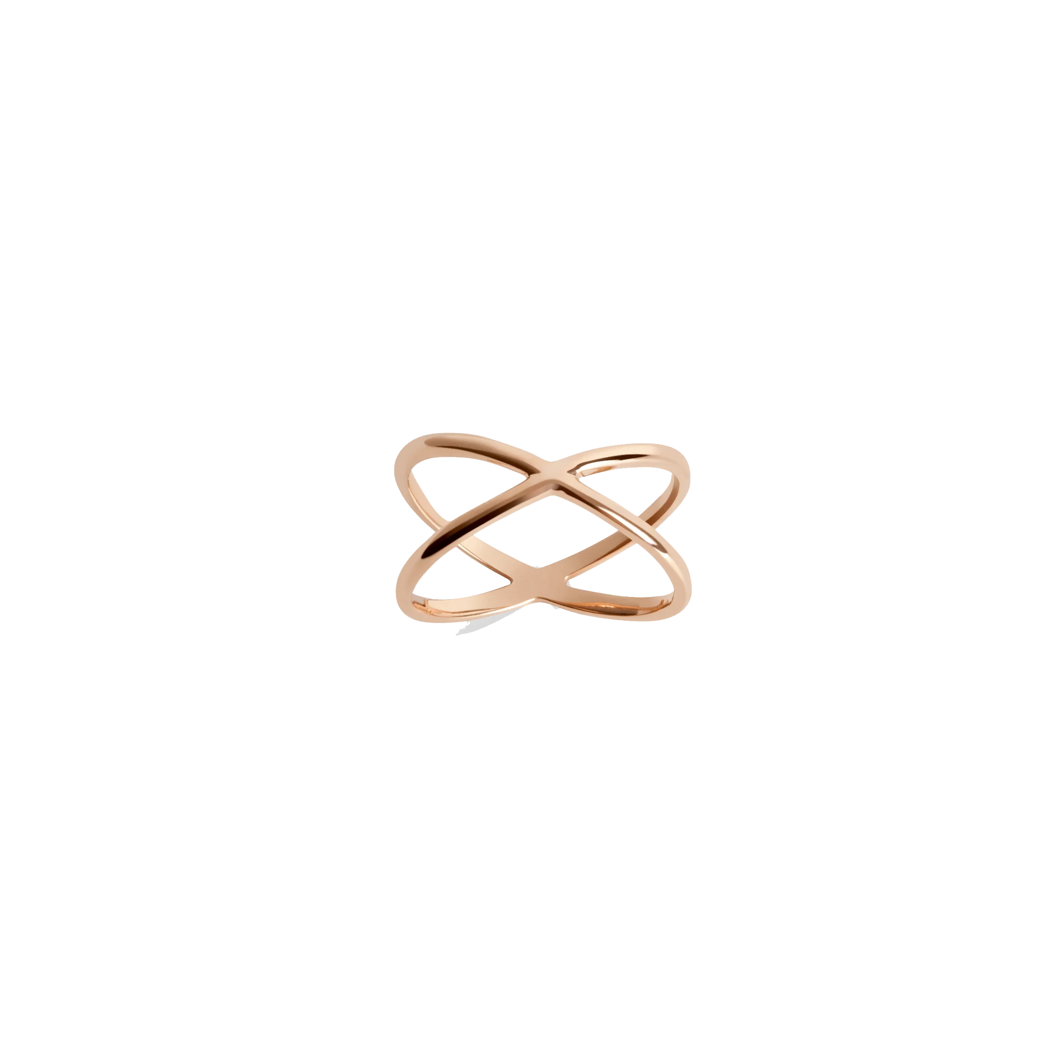 X Ring - Image 8